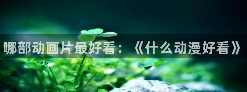 绅士acg动漫资源