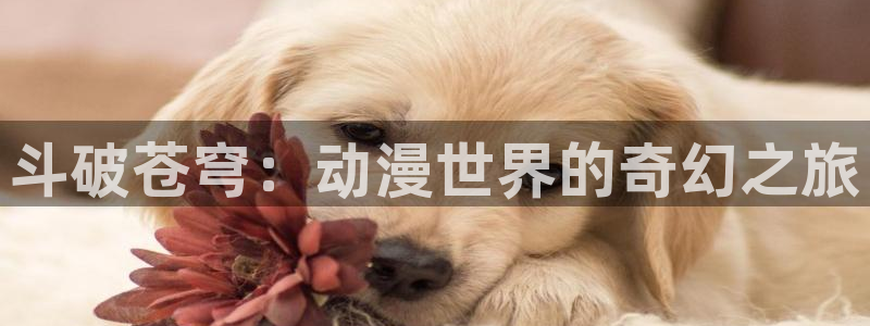 acg动漫推荐：斗破苍穹：动漫世界的奇幻之旅